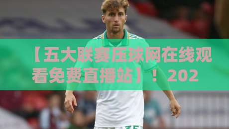 【五大联赛压球网在线观看免费直播站】！2026年球迷必备的高清免费观赛指南