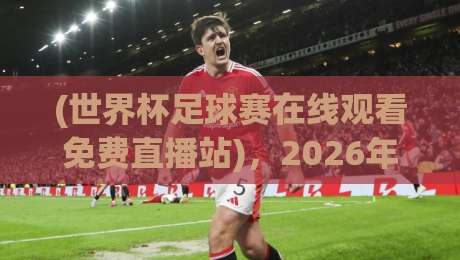 (世界杯足球赛在线观看免费直播站)，2026年观赛指南与避坑手册