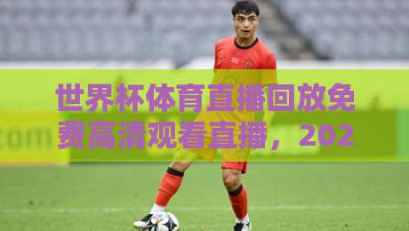 世界杯体育直播回放免费高清观看直播，2026年观赛指南：这样看球才过瘾！