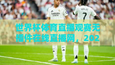 世界杯体育直播观赛无插件在线直播网，2026观赛新姿势：告别卡顿与广告