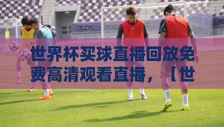 世界杯买球直播回放免费高清观看直播，【世界杯买球直播回放免费高清观看直播】2026观赛攻略大全