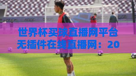 世界杯买球直播网平台无插件在线直播网：2026年观赛新体验，（球迷必看指南）
