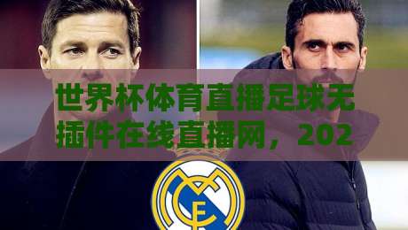 世界杯体育直播足球无插件在线直播网，2026年观赛新体验全攻略