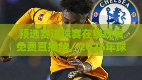 预选赛进球赛在线观看免费直播站，2026年球迷必藏的观赛指南！