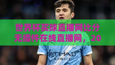 世界杯买球直播网比分无插件在线直播网，2026年球迷的终极观赛指南