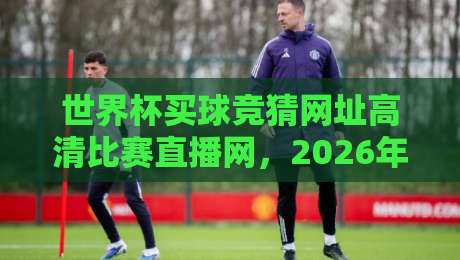 世界杯买球竞猜网址高清比赛直播网，2026年球迷必备的观赛与竞猜平台指南