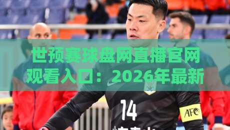 世预赛球盘网直播官网观看入口：2026年最新观赛通道与避坑指南