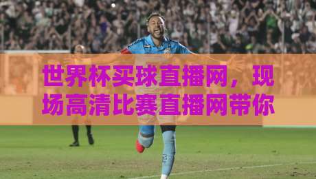 世界杯买球直播网,现场高清比赛直播网带你直击2026巅峰对决 世界杯买球直播网,现场高清比赛直播网带你直击2026巅峰对决
