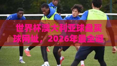 世界杯澳大利亚球盘买球网址,2026年最全避坑指南(附真实用户反馈) 世界杯澳大利亚球盘买球网址,2026年最全避坑指南(附真实用户反馈)