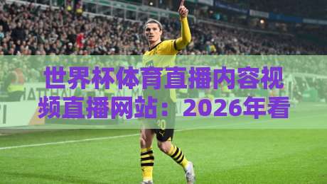 世界杯体育直播内容视频直播网站:2026年看球,谁才是真·流量王? 世界杯体育直播内容视频直播网站:2026年看球,谁才是真·流量王?