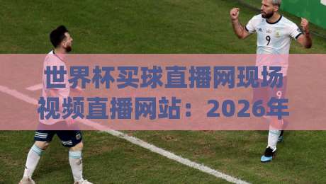 世界杯买球直播网现场视频直播网站：2026年球迷必备的观赛神器，你get了吗？