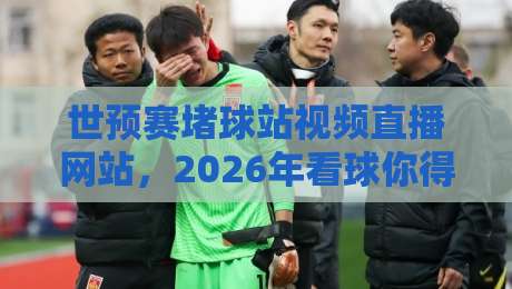 世预赛堵球站视频直播网站,2026年看球你得这么选! 世预赛堵球站视频直播网站,2026年看球你得这么选!
