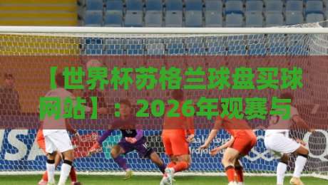【世界杯苏格兰球盘买球网站】：2026年观赛与安全下注的实战心法