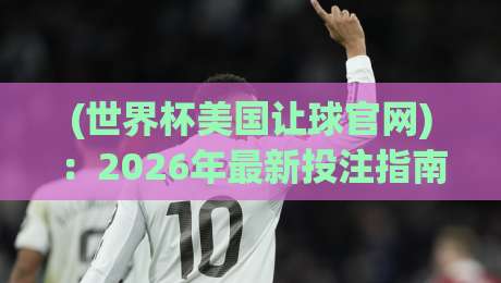 (世界杯美国让球官网)：2026年最新投注指南与避坑技巧