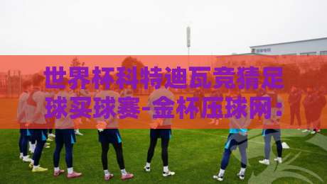 世界杯科特迪瓦竞猜足球买球赛-金杯压球网：2026年非洲区预选赛投注指南