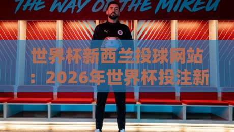 世界杯新西兰投球网站：2026年世界杯投注新趋势与实操指南