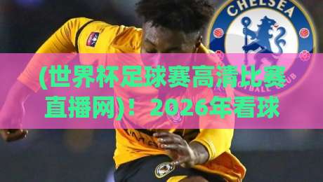 (世界杯足球赛高清比赛直播网)!2026年看球必备,这5个平台让你盯梢每粒进球 (世界杯足球赛高清比赛直播网)!2026年看球必备,这5个平台让你盯梢每粒进球