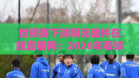 世预赛下球网无插件在线直播网：2026年看球不卡顿的秘密武器