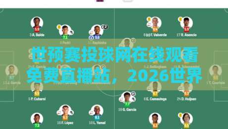 世预赛投球网在线观看免费直播站，2026世界杯预选赛观赛全攻略