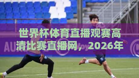 世界杯体育直播观赛高清比赛直播网,2026年观赛新体验:哪儿才是真正的体验巅峰? 世界杯体育直播观赛高清比赛直播网,2026年观赛新体验:哪儿才是真正的体验巅峰?