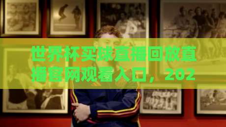 世界杯买球直播回放直播官网观看入口，2026球迷必备的观赛指南！