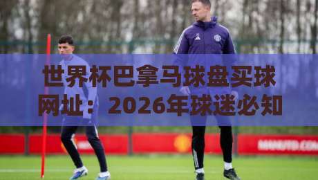 世界杯巴拿马球盘买球网址:2026年球迷必知的三大避坑指南 世界杯巴拿马球盘买球网址:2026年球迷必知的三大避坑指南