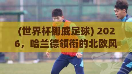 (世界杯挪威足球) 2026,哈兰德领衔的北欧风暴能走多远? (世界杯挪威足球) 2026,哈兰德领衔的北欧风暴能走多远?