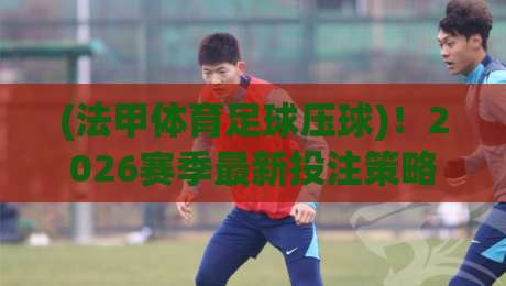(法甲体育足球压球)！2026赛季最新投注策略与实战技巧全解析