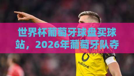 世界杯葡萄牙球盘买球站，2026年葡萄牙队夺冠前景与观赛指南