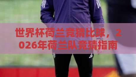 世界杯荷兰竞猜比球,2026年荷兰队竞猜指南与比分预测 世界杯荷兰竞猜比球,2026年荷兰队竞猜指南与比分预测