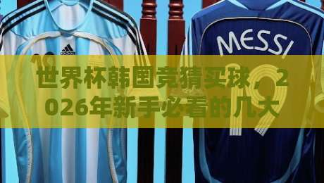 世界杯韩国竞猜买球，2026年新手必看的几大避坑技巧