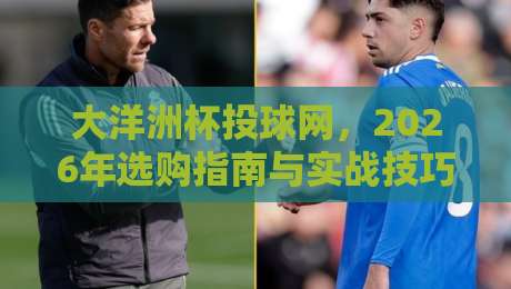 大洋洲杯投球网，2026年选购指南与实战技巧