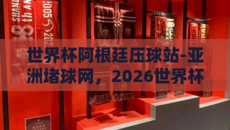 世界杯阿根廷压球站-亚洲堵球网，2026世界杯阿根廷队观赛与“压球”策略全解析