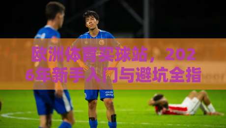 欧洲体育买球站，2026年新手入门与避坑全指南