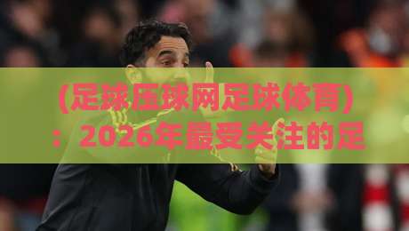 (足球压球网足球体育)：2026年最受关注的足球体育压球网平台全解析