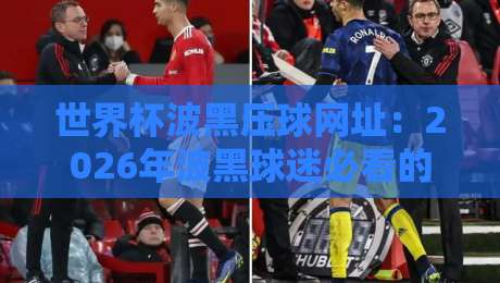 世界杯波黑压球网址:2026年波黑球迷必看的官方观赛与数据平台推荐 世界杯波黑压球网址:2026年波黑球迷必看的官方观赛与数据平台推荐