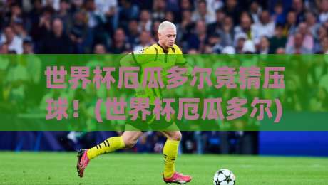 世界杯厄瓜多尔竞猜压球！(世界杯厄瓜多尔) 2026年最新玩法与策略全解析