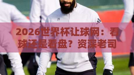 2026世界杯让球网:看球还是看盘?资深老司机带你避坑指南 2026世界杯让球网:看球还是看盘?资深老司机带你避坑指南