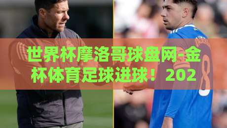 世界杯摩洛哥球盘网-金杯体育足球进球!2026年球迷必看的新趋势解析 世界杯摩洛哥球盘网-金杯体育足球进球!2026年球迷必看的新趋势解析