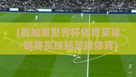 (美加墨世界杯体育买球-联赛买球站足球体育)：2026年球迷必懂的三大避险法则与平台甄别术