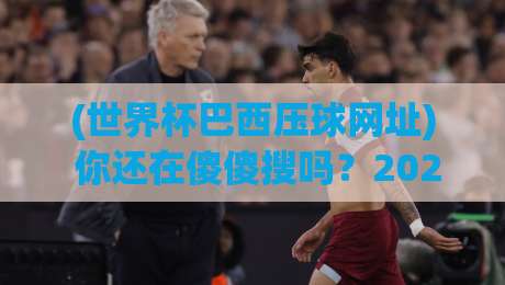 (世界杯巴西压球网址) 你还在傻傻搜吗？2026年这些门道必须懂！