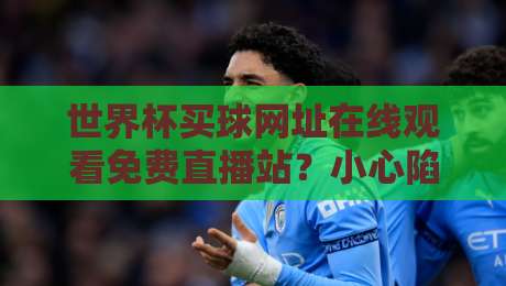 世界杯买球网址在线观看免费直播站?小心陷阱!2026年官方观赛指南来了