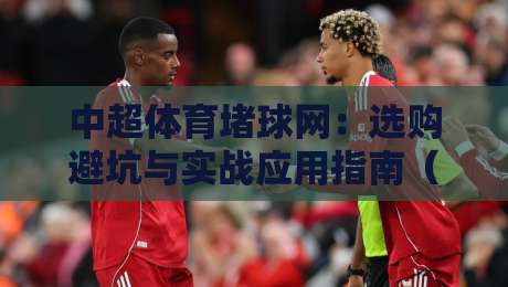中超体育堵球网：选购避坑与实战应用指南（2026版）