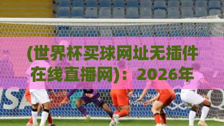 (世界杯买球网址无插件在线直播网):2026年看球新姿势,谁说高清非得装插件?