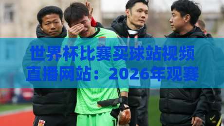 世界杯比赛买球站视频直播网站：2026年观赛新体验，高清流畅超预期！