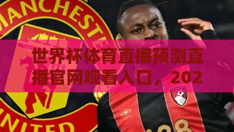 世界杯体育直播预测直播官网观看入口，2026年看球真就这么简单？