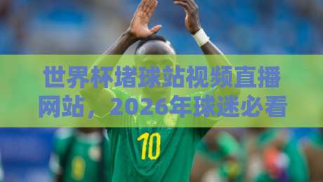 世界杯堵球站视频直播网站，2026年球迷必看的高清观赛指南