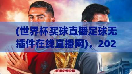 (世界杯买球直播足球无插件在线直播网)，2026年看球新姿势！这4个渠道比官方还稳+世界杯买球直播足球无插件在线直播网