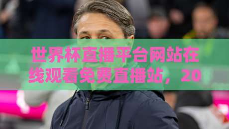 世界杯直播平台网站在线观看免费直播站，2026年看球别再花冤枉钱！