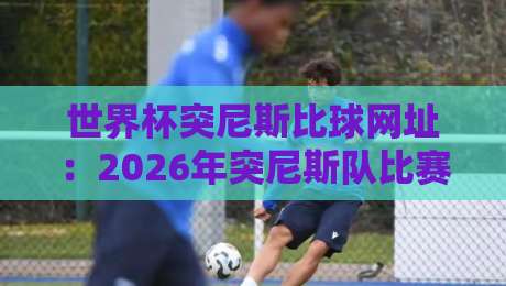 世界杯突尼斯比球网址：2026年突尼斯队比赛直播入口与观赛攻略